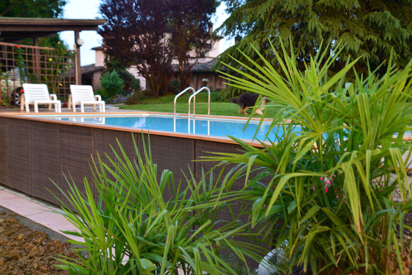 Laghetto Pool / COUNTRY 35