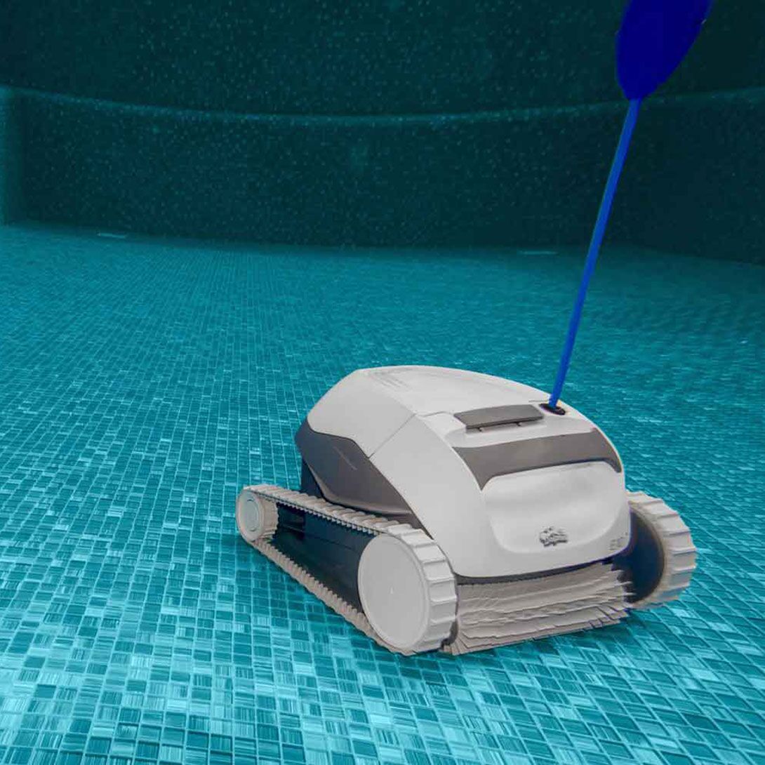 Dolphin E10