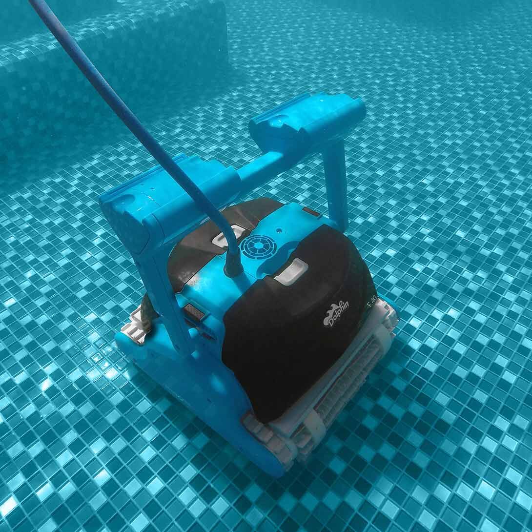 Dolphin F40, Combi
