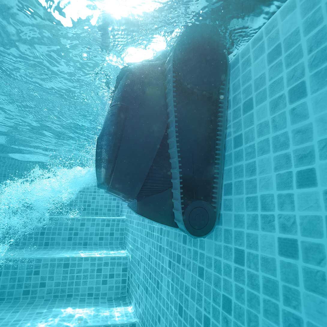 Dolphin LIBERTY 300 - 2024