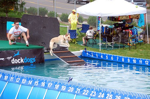 Partypool mieten – Eventpool24